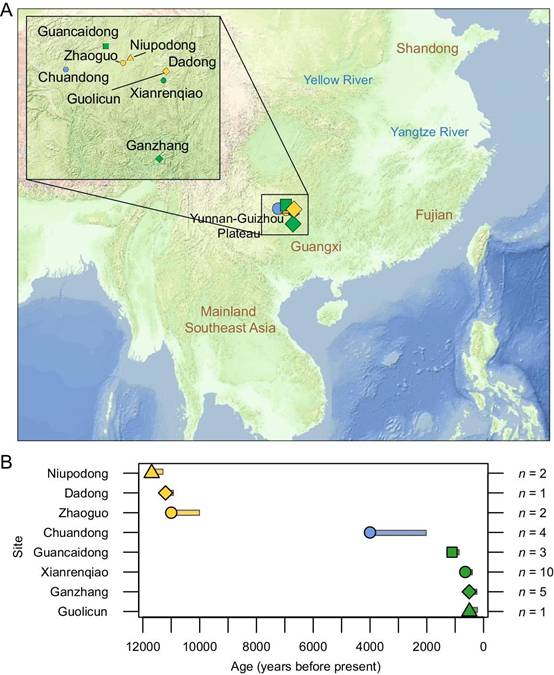 National Science Review | 古基因组揭示距今1.2万年以来东亚西南部地区古人群遗传演化历史